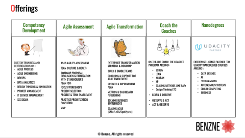 Benzne Offerings