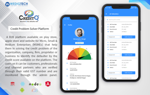 Credit Score Information Platform
