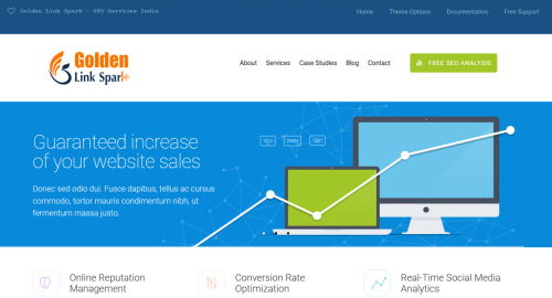 Golden Link Spark SEO Case Study
