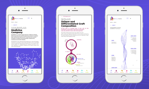 Website for Montreal based Biotech Start Up