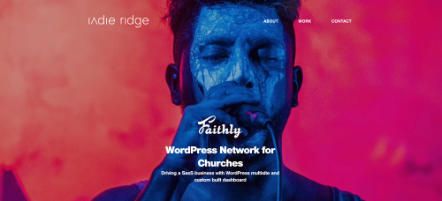 Driving a SasS business with WordPress multisite and custom built dashboard