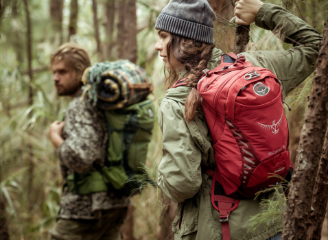 Backpacks.com Branding