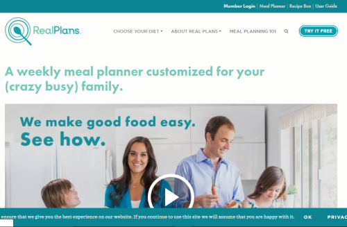 Real Plan : Multi-tenant , SaaS based project