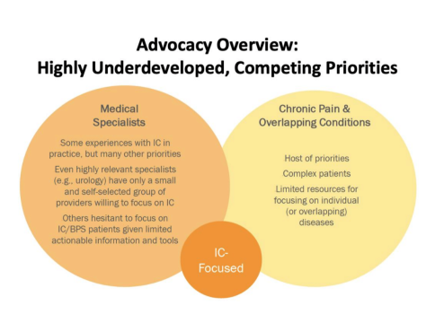 Advocacy Landscape & Engagement