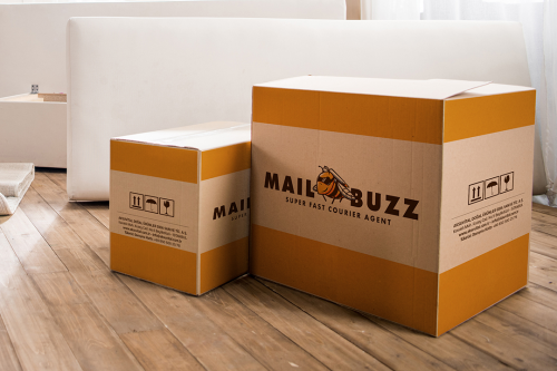 Mail Buzz Box Packaging