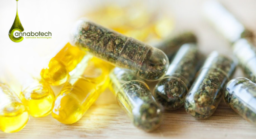 CannaboTech Pharmaceutical Startup