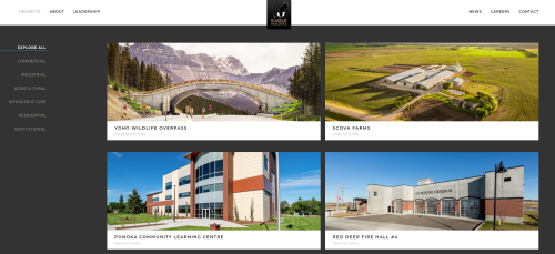 Website Design & Development