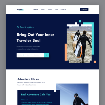 Travel website design
