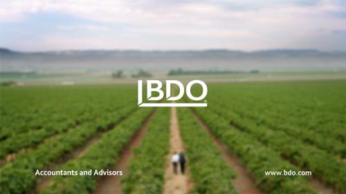 How the World’s 5th Largest Accounting & Consulting Firm Found Its Marketing Groove.