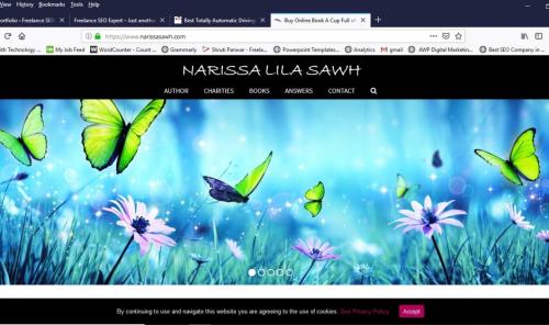 WebSite Development & SEO for Narissa Sawh