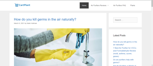 Blog Website On page optimization