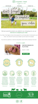 Klaviyo Email Design