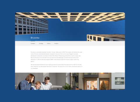 Brusnika - Internal assessment and forecasting tools