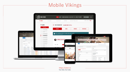 Mobile Vikings