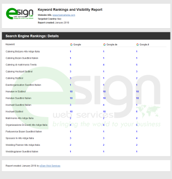 SEARCH ENGINE RANKINGS REPORT