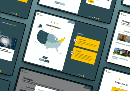 SBP Projects - Disaster Web Tool