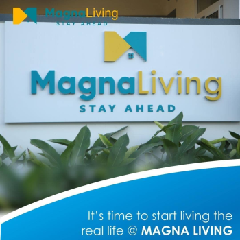 Search Engine Optimization for Magna Living