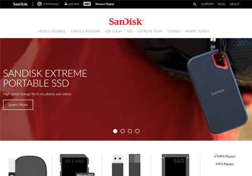 SanDisk