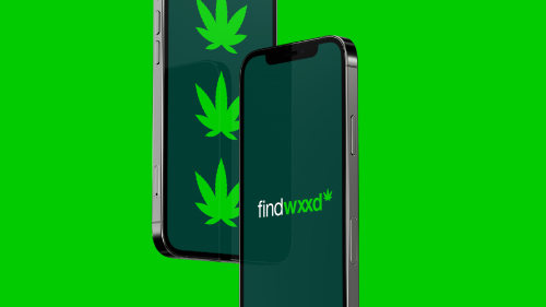 Online Cannabis Platform Branding