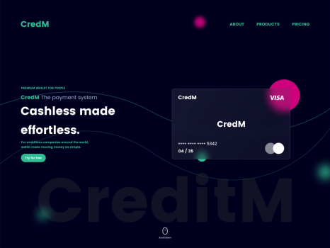 CredM Credit card Project