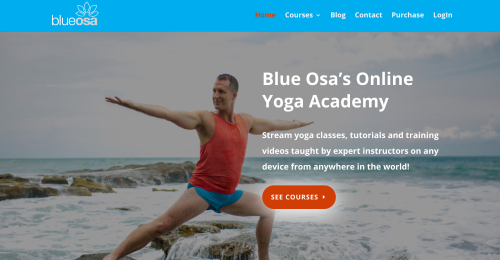 Website Design & Development, Online Marketing Strategy