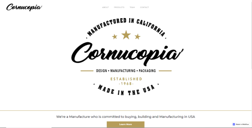 Rebranding an existing company