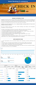 Digital Marketing Case Studies - Success Stories