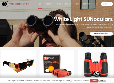 International Ventures – E-Commerce-Kanäle