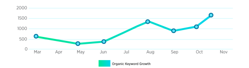 More Than 100% Increase in Organic Keyword Rankings