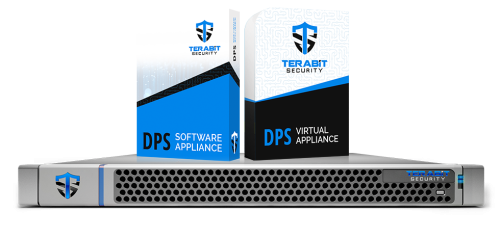 DDoS Protection System