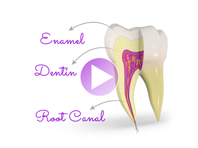 3D Dental Patient Education Videos
