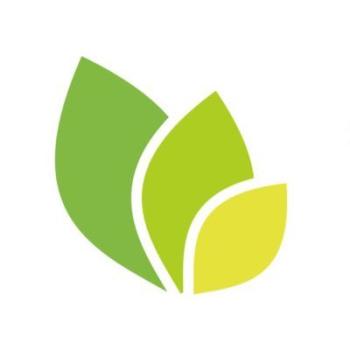 Web Development for True lender