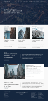 WordPress website for global financial services firm