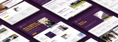 West Chester University Foundation Messaging Framework & Website