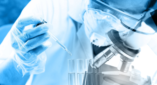 Laboratorio Raven
