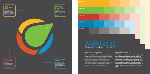 Brand Identity + Website Design & Development
