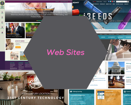 Web Development