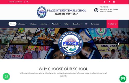 Peace International School