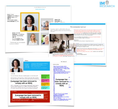 CUSTOMER RESEARCH - SMALL BUSINESS OWNER IN THE US