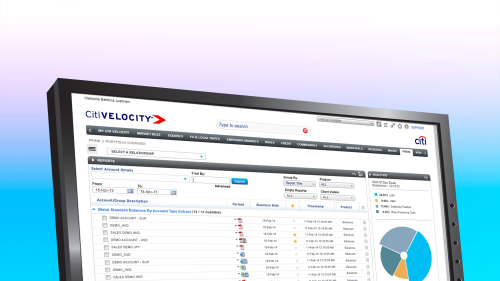 CitiVelocity Web Portal