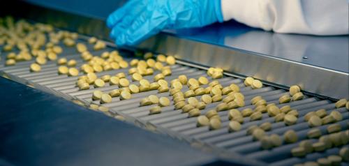 Paragon Laboratories