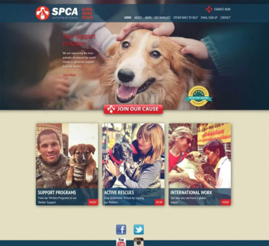 SPCA International