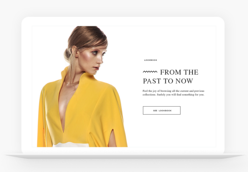 Online Shop and website of Fashion Designer