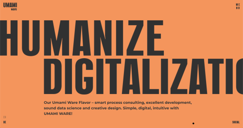 Umami Ware