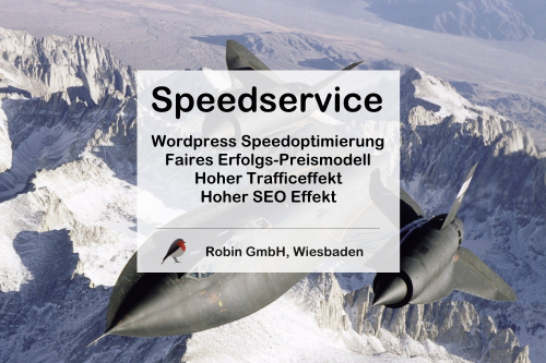 Wordpress Speed Service
