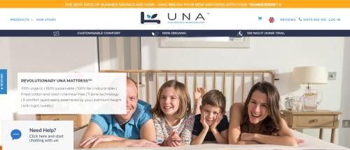 Website Design and Development