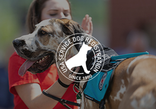 USA Service Dog Registration Website Design & Development