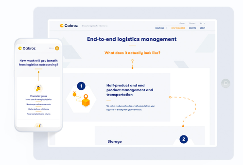 Cabroz website development (WordPress)