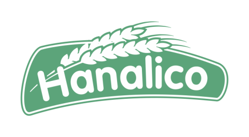 Hanalico ERP Consultations