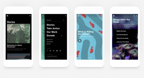 Website Rebrand for Ocean Wise